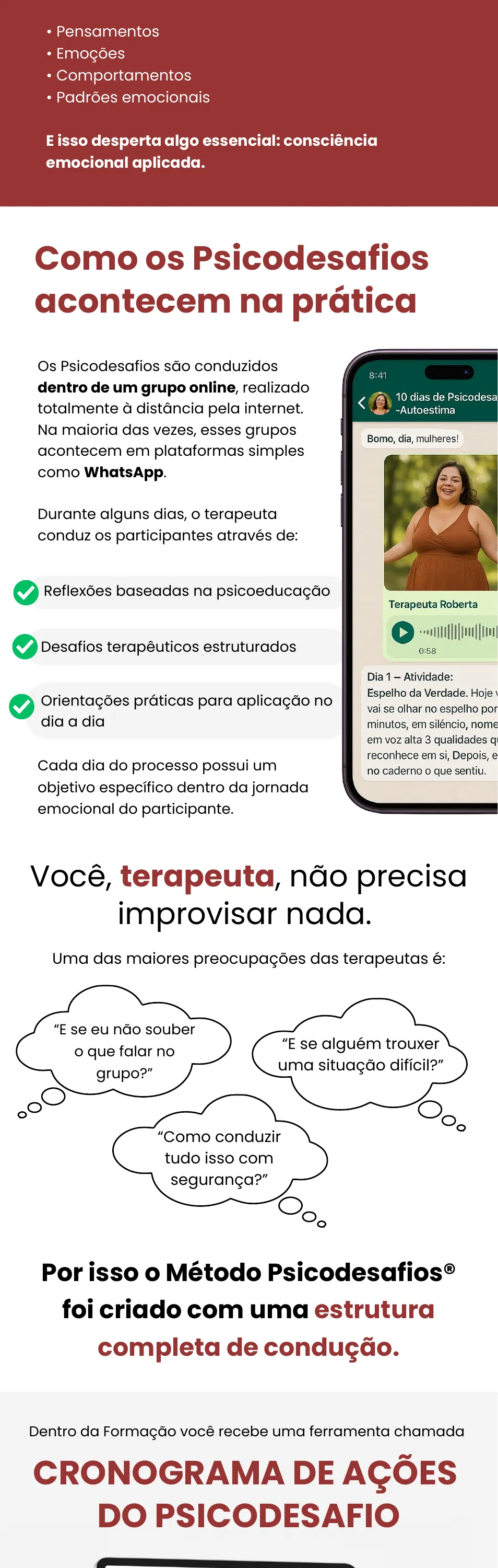Conteúdo da formação