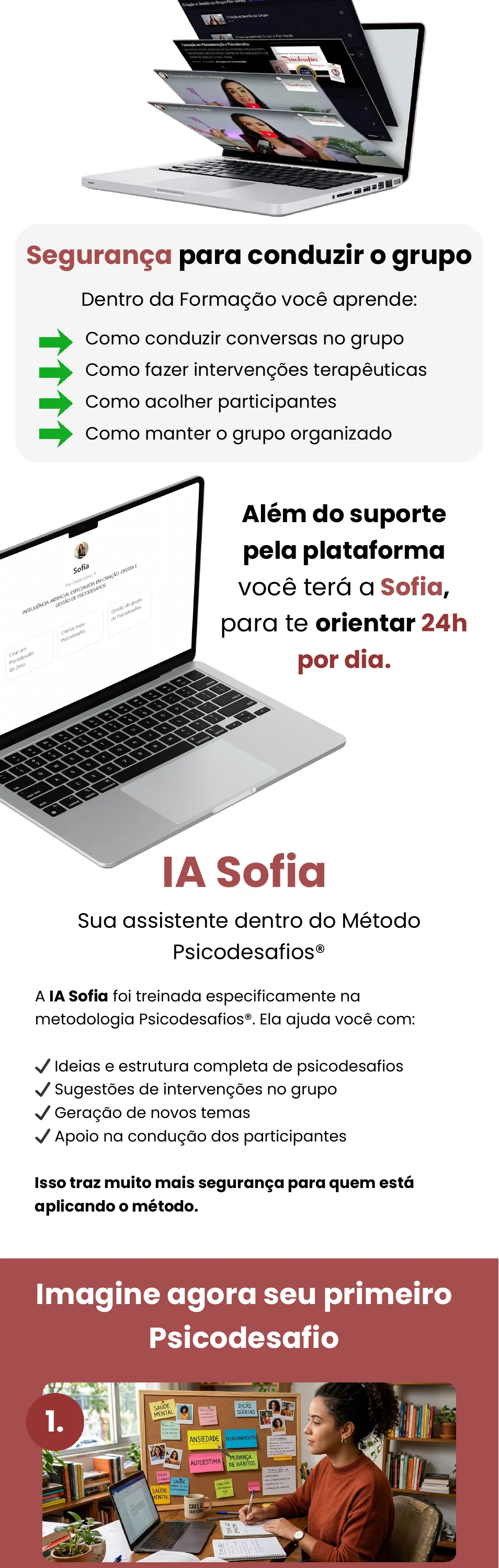 Conteúdo da formação
